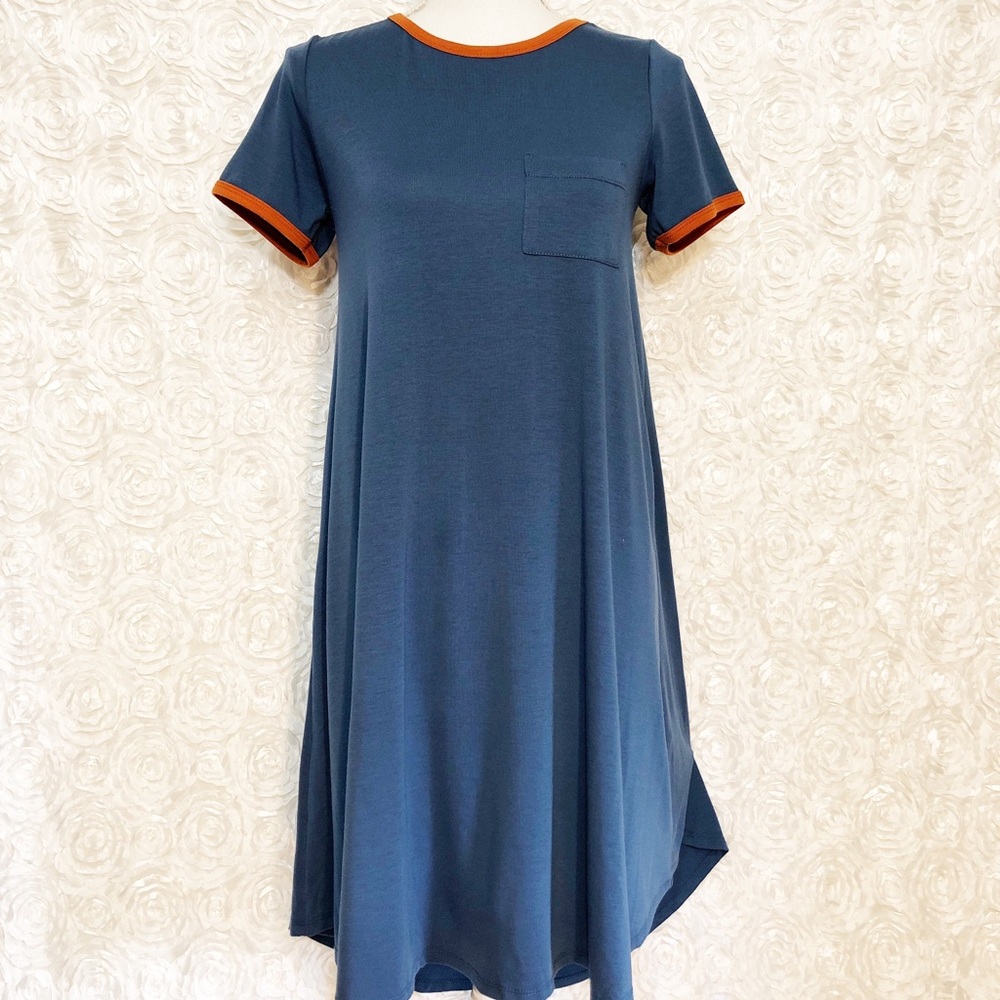 LuLaRoe Carly Knit Dress
